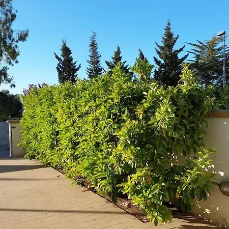 Holiday home Comi By Salento Com